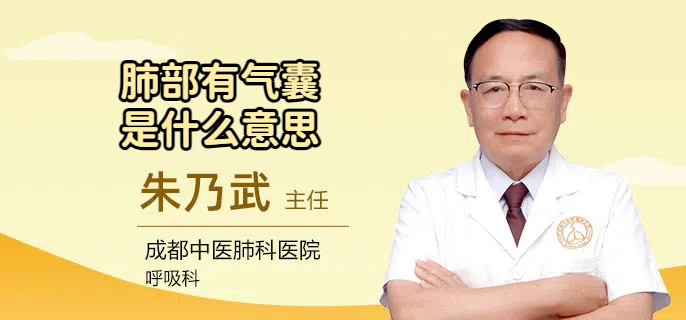 肺部有气囊是什么意思