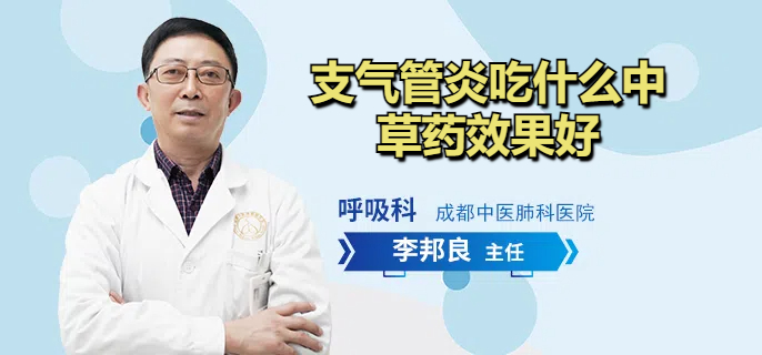 支气管炎吃什么中草药效果好