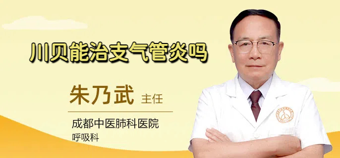 川贝能治支气管炎吗
