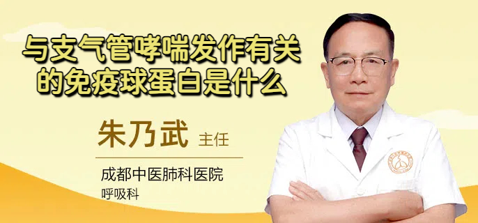 与支气管哮喘发作有关的免疫球蛋白是什么