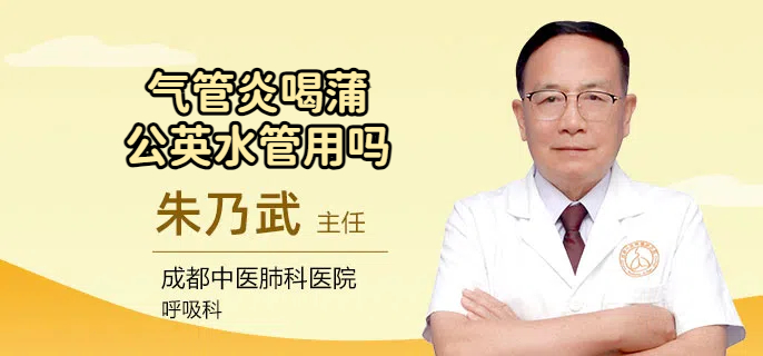 气管炎喝蒲公英水管用吗