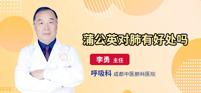 蒲公英对肺有好处吗