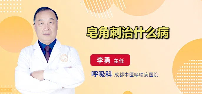 皂角刺治什么病