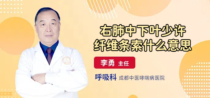 右肺中下叶少许纤维条索什么意思