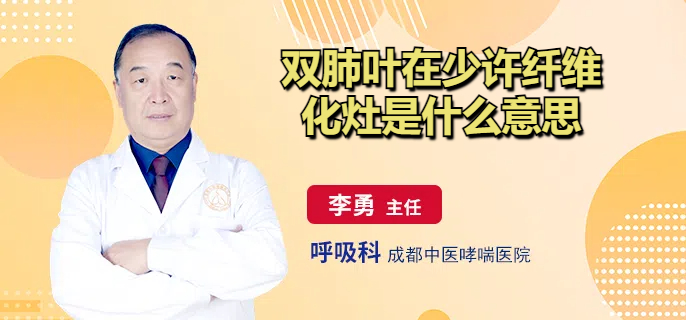 双肺叶在少许纤维化灶是什么意思
