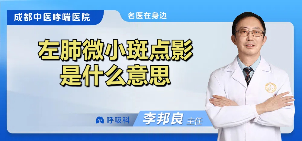 左肺微小斑点影是什么意思