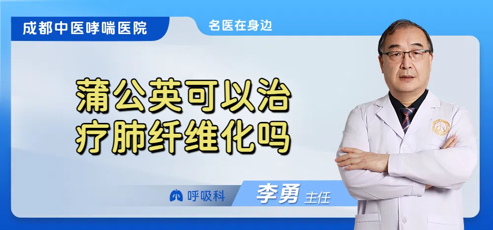 蒲公英可以治疗肺纤维化吗
