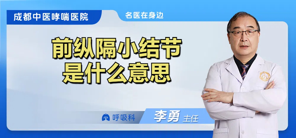 前纵隔小结节是什么意思