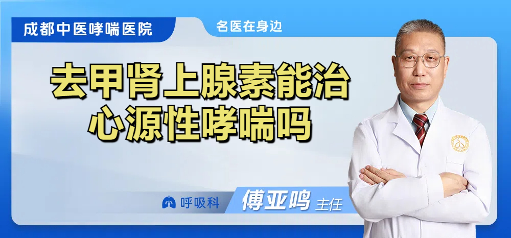 去甲肾上腺素能治心源性哮喘吗