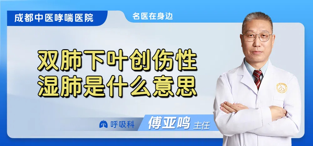 双肺下叶创伤性湿肺是什么意思
