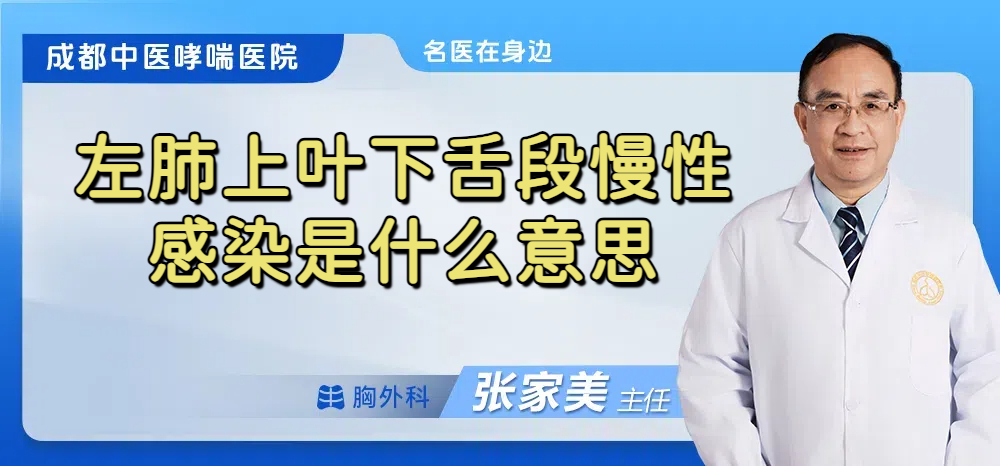 左肺上叶下舌段慢性感染是什么意思
