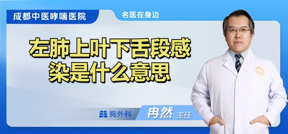 左肺上叶下舌段感染是什么意思