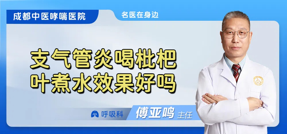 支气管炎喝枇杷叶煮水效果好吗